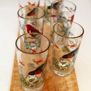 VTG 1953 Federal Glass Company Audubon Bird glasses
